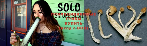 молекула духа Армянск